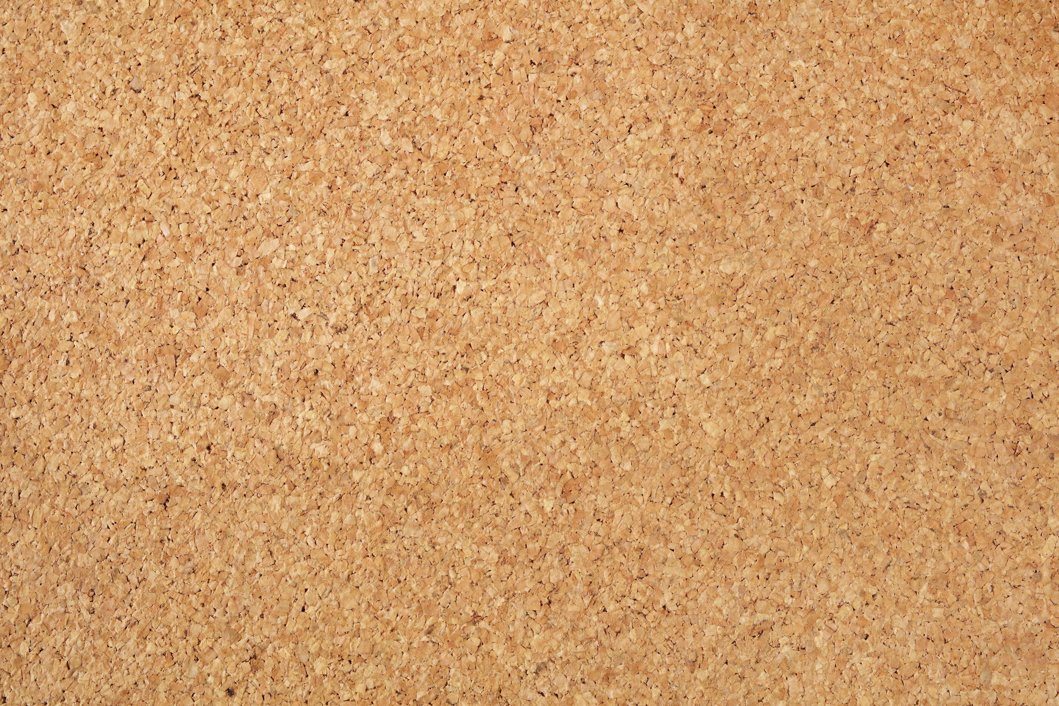 Cork board